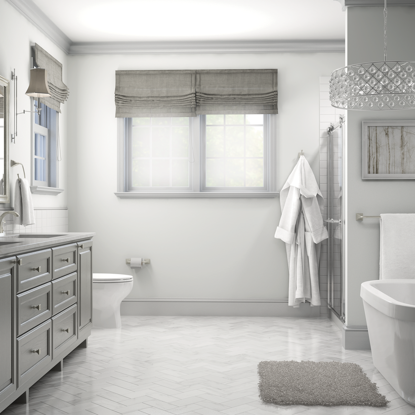 SpotShield Brushed Nickel / 1