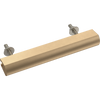 Champagne Bronze / 1