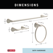 SpotShield Brushed Nickel / 24