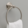 SpotShield Brushed Nickel / 24