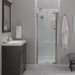 SpotShield Brushed Nickel / 1