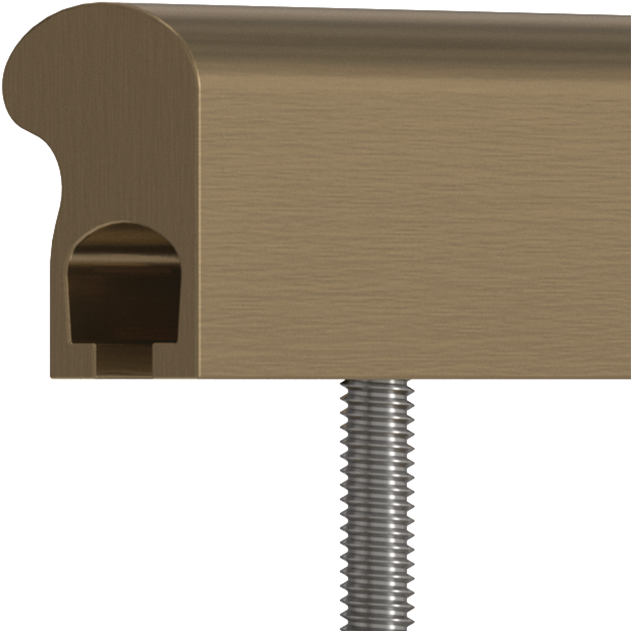 Champagne Bronze / 1