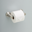 SpotShield Brushed Nickel / 1
