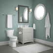 SpotShield Brushed Nickel / 1