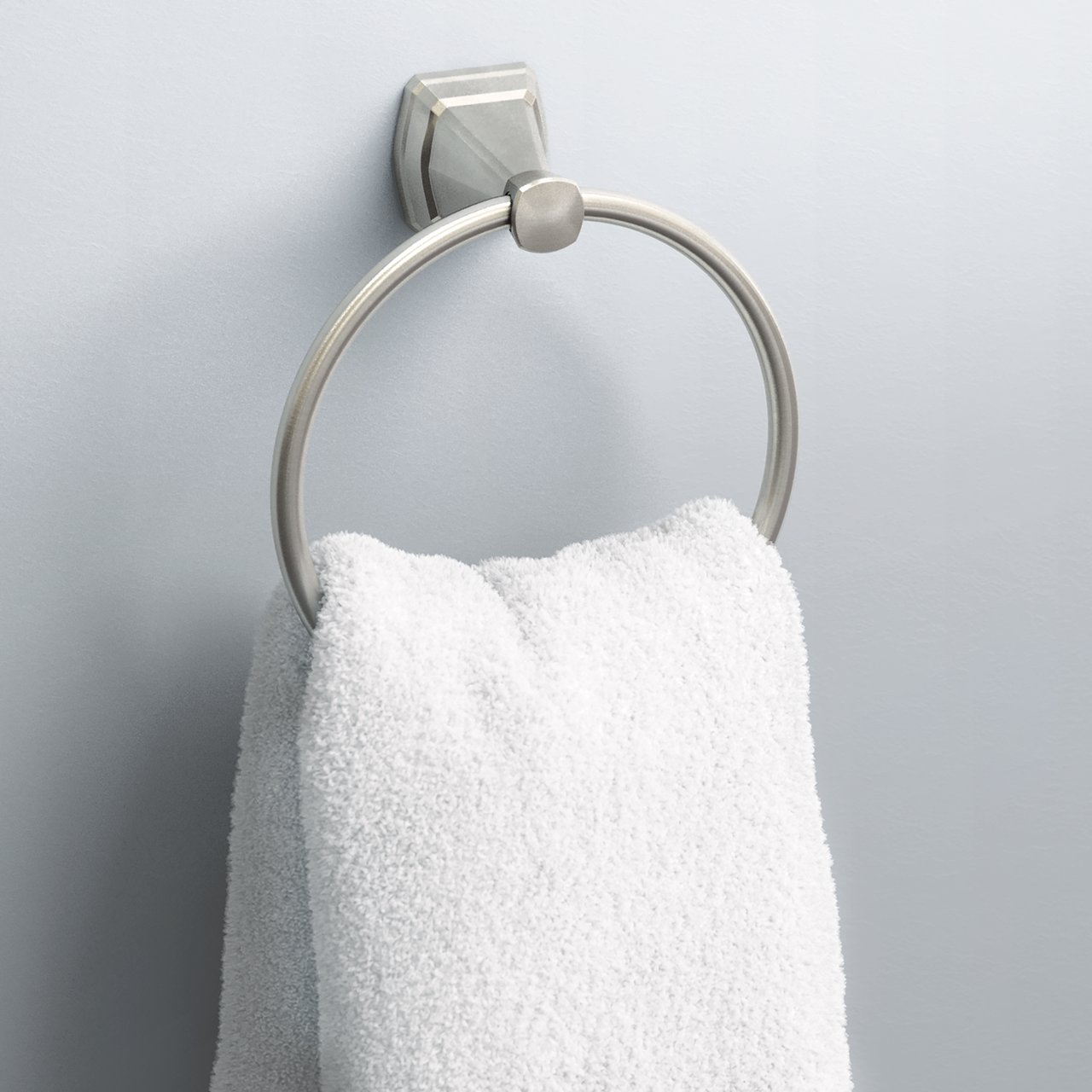 SpotShield Brushed Nickel / 1