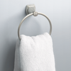 SpotShield Brushed Nickel / 1