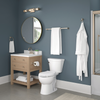 SpotShield Brushed Nickel / 18
