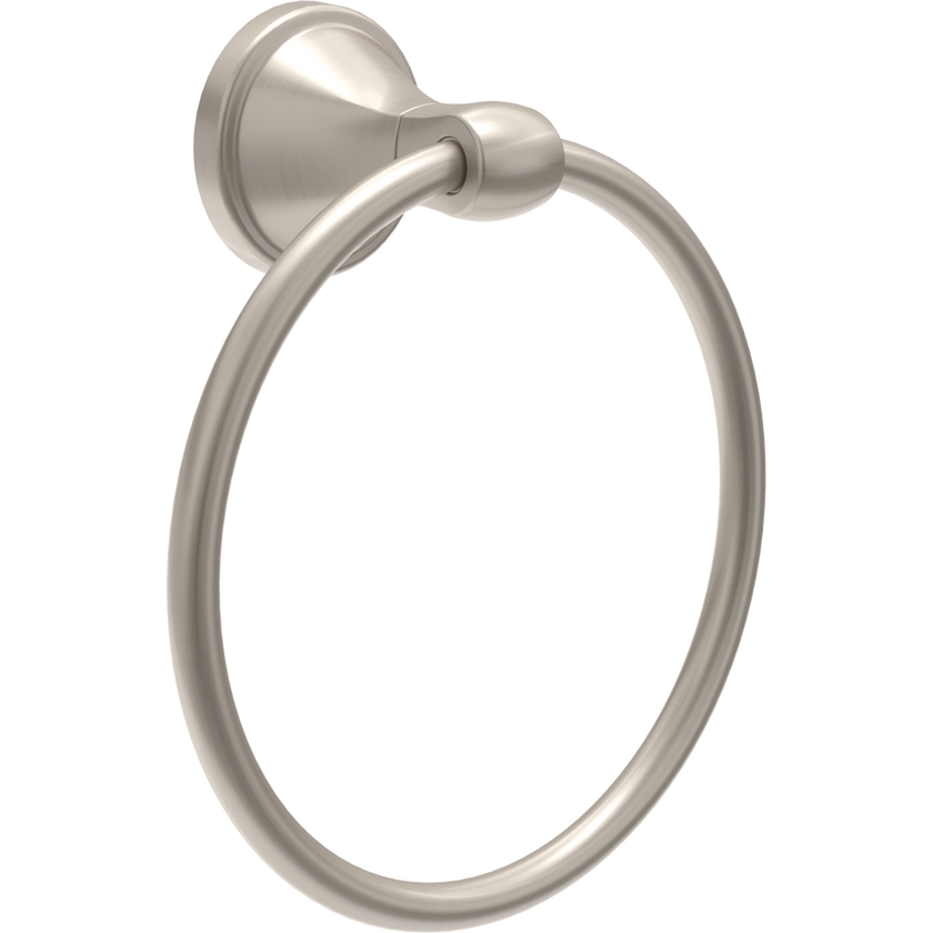 SpotShield Brushed Nickel / 1