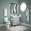 SpotShield Brushed Nickel / 1