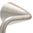 SpotShield Brushed Nickel / 1