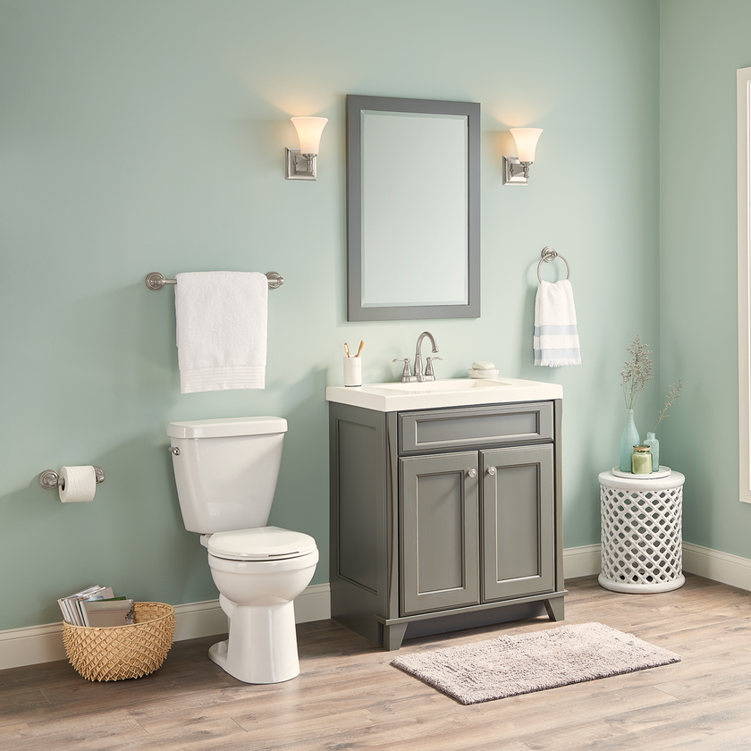 SpotShield Brushed Nickel / 1