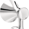 Polished Chrome / 1