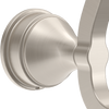 SpotShield Brushed Nickel / 1