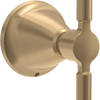 Champagne Bronze / 1