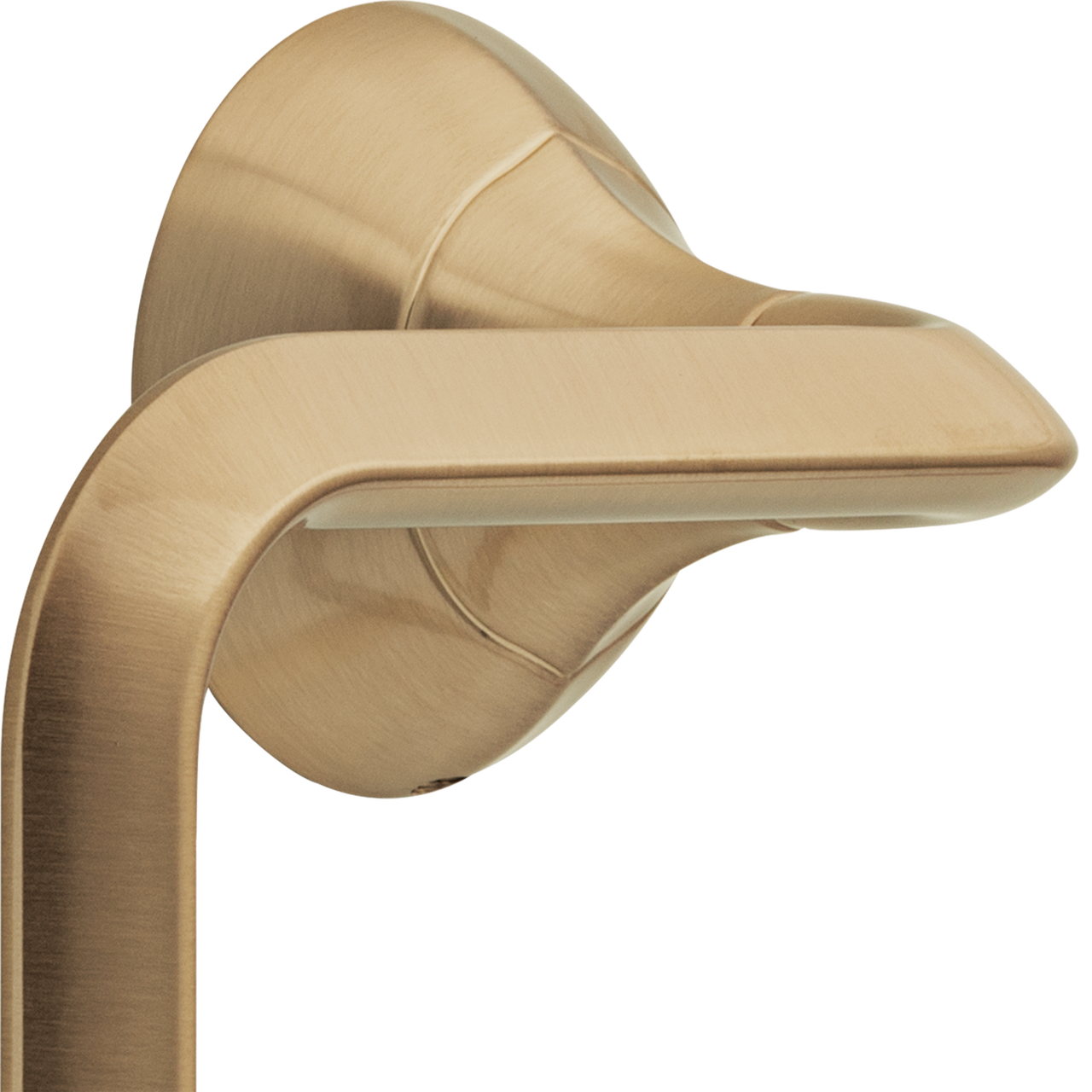 Champagne Bronze / 18