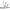 SpotShield Brushed Nickel / 1