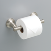 SpotShield Brushed Nickel / 1