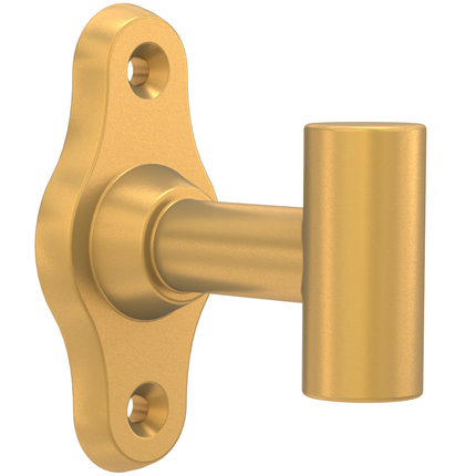 Satin Gold / 1