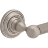 SpotShield Brushed Nickel / 1