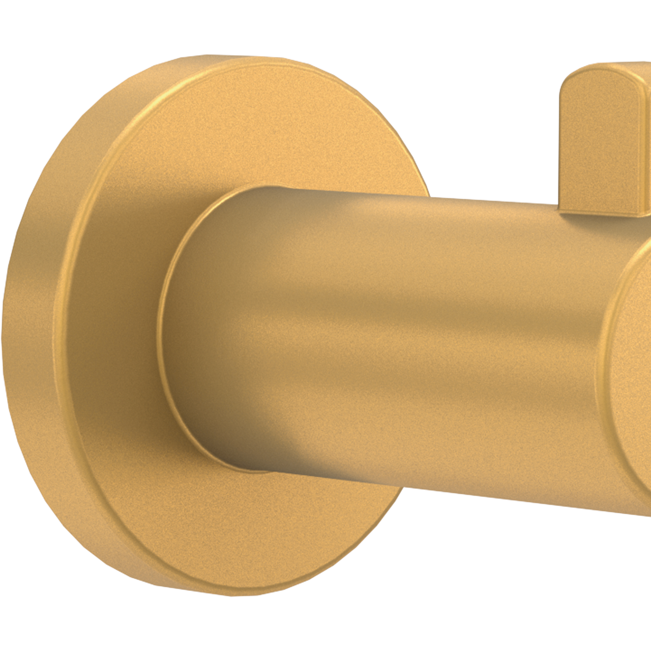 Satin Gold / 1