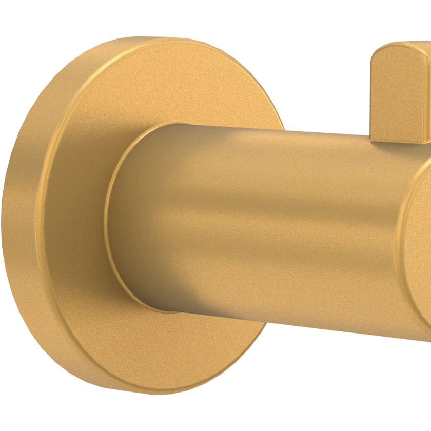 Satin Gold / 1