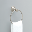 SpotShield Brushed Nickel / 1