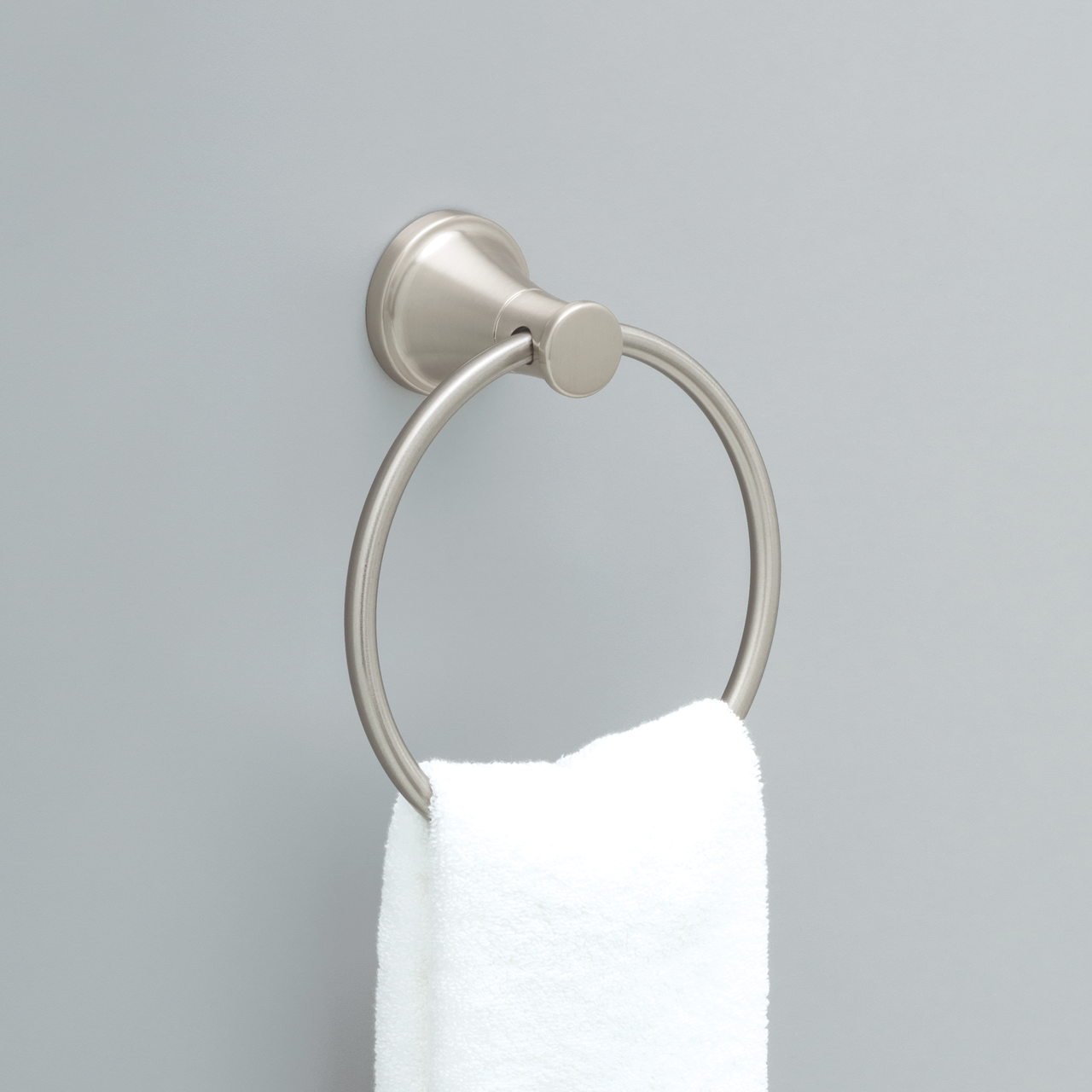 SpotShield Brushed Nickel / 1