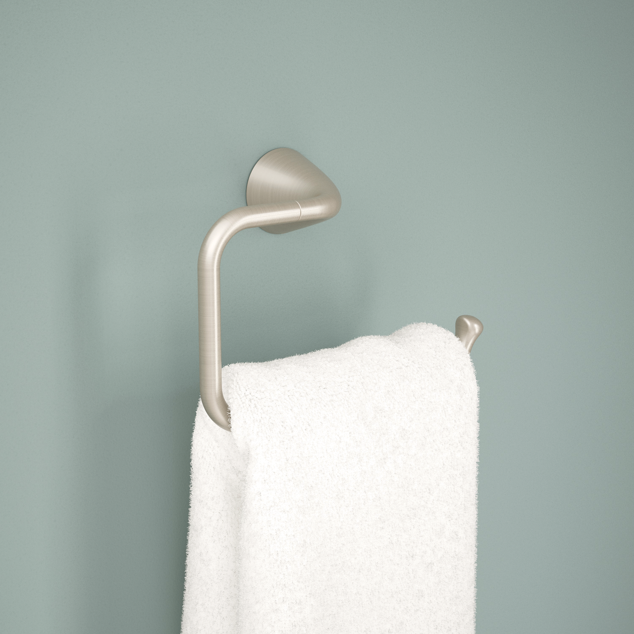 SpotShield Brushed Nickel / 1