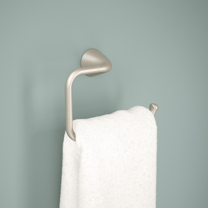 SpotShield Brushed Nickel / 1