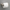 Satin Nickel / 24