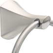 SpotShield Brushed Nickel / 1