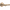 Champagne Bronze / 18