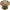 Antique Brass / 1-3/8