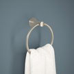SpotShield Brushed Nickel / 1