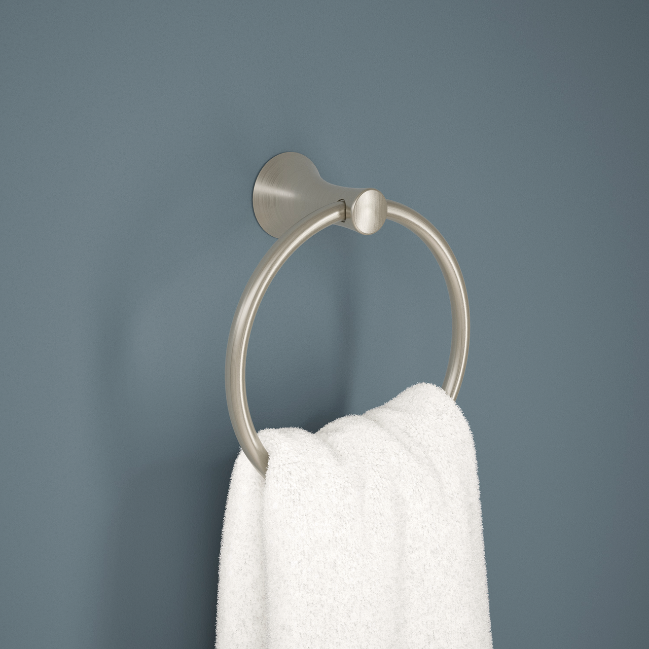 SpotShield Brushed Nickel / 1