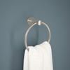 SpotShield Brushed Nickel / 1