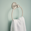 SpotShield Brushed Nickel / 1