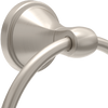 SpotShield Brushed Nickel / 1