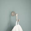 SpotShield Brushed Nickel / 1