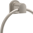 SpotShield Brushed Nickel / 1