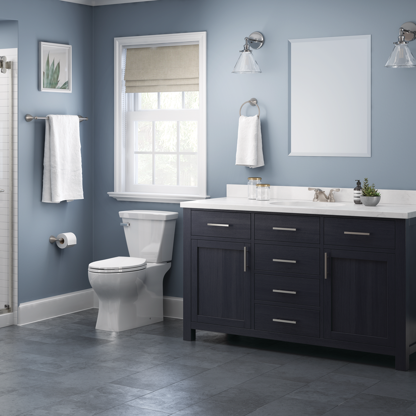 SpotShield Brushed Nickel / 1