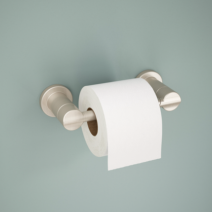 SpotShield Brushed Nickel / 1