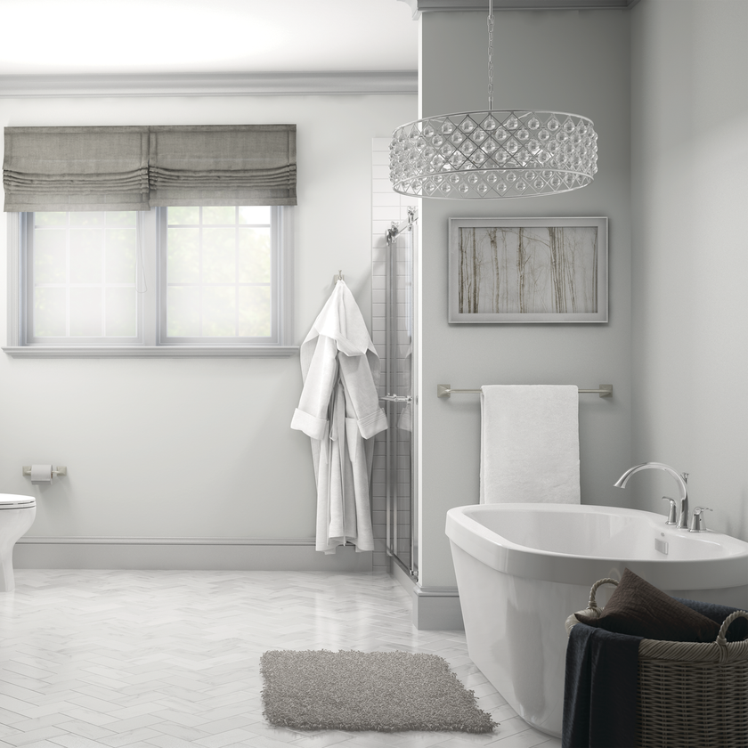 SpotShield Brushed Nickel / 1