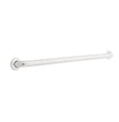 Bright Stainless Steel / 36