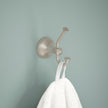 SpotShield Brushed Nickel / 1