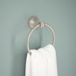 SpotShield Brushed Nickel / 1