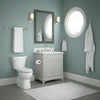 SpotShield Brushed Nickel / 18