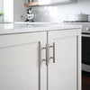 Stainless Steel / 3