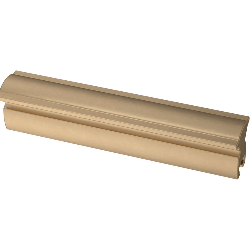 Champagne Bronze / 1