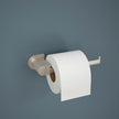 SpotShield Brushed Nickel / 1